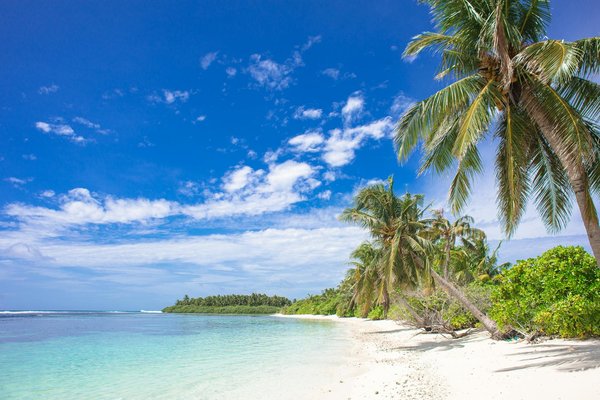 Quels sont les meilleurs spots pour la plongée en apnée autour des îles Komodo, Indonésie : saisons et équipements ?