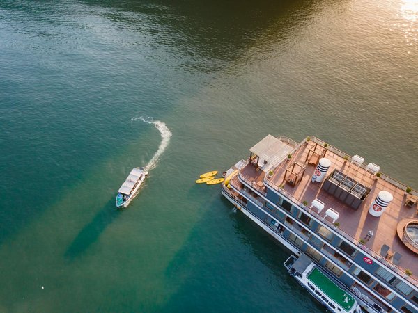 Comment choisir une croisière qui propose des excursions pour observer les dauphins en Mer Rouge?
